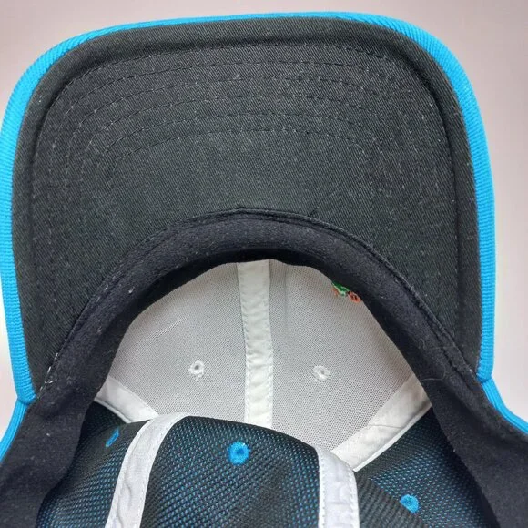 Oakley Frogskins hat men flex fit L XL L/XL Embroidered Cap Frog Blue White Rare - Picture 7 of 10